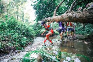 BIB: 
                            <button type="button" onclick="openModal(25451383)" class="btn btn-primary btn-sm float-right btn-popup" data-toggle="modal" data-target=".modal-high-quality">
                        <i class="fas fa-shopping-cart"></i> Add to Cart
                    </button>
                                            <button type="button" onclick="isThisMe(25451383, true)" class="btn btn-success btn-sm float-right btn-popup btn-isme hidden" data-toggle="tooltip" data-placement="bottom" title="นี่คือรูปของคุณใช่ไหม คลิกที่นี่เพื่อเอาเข้าอัลบั้ม">
                        <i class="fas fa-plus"></i> Add to album
                    </button>
                    <button type="button" onclick="isThisMe(25451383, false)" class="btn btn-warning btn-sm float-right btn-popup btn-isnotme hidden">
                        <i class="fas fa-ban"></i> Remove from album
                    </button>